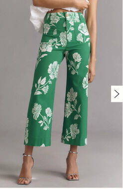 Anthropologie The Colette Cropped Wide-Leg Pants Magic Fabric Edition 25 Petite